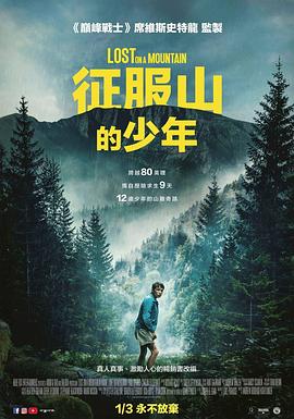 迷路 Lost on A Mountain in Maine (2024)
