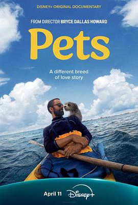 宠 Pets (2025)