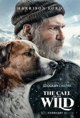 野性的呼唤 The Call of the Wild (2020)