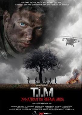 神鬼战队 T.I.M (2018)