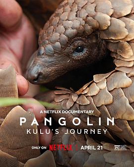 穿山甲Kulu的旅程 Pangolin: Kulu’s Journey (2025)