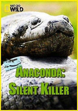 蟒蛇：沉默杀手 Anaconda: Silent Killer (2014)