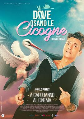 Dove osano le cicogne  (2025)