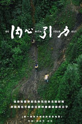 内心引力 内心引力 (2016)