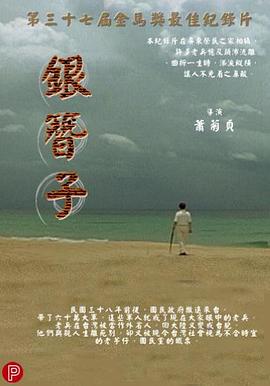 银簪子  (2001)