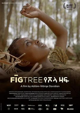 无花果之树 የሾላ ዛፍ (2018)
