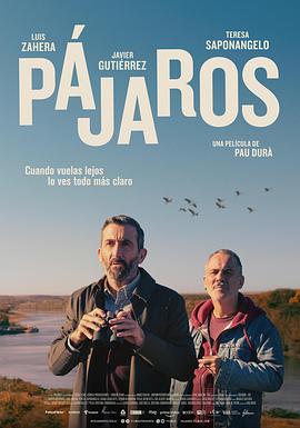 群鸟东径 Pájaros (2023)