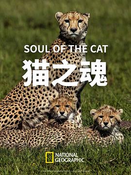 猫之魂 Soul of the Cat (2017)