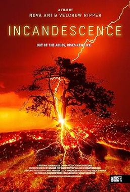 Incandescence  (2024)