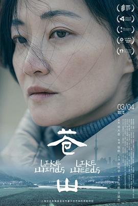 苍山  (2023)