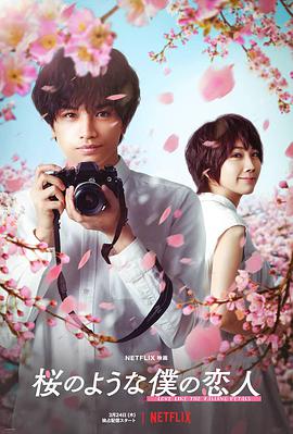 我的樱花恋人 桜のような僕の恋人 (2022)