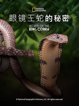 眼镜蛇的秘密 Secrets of the King Cobra (2010)