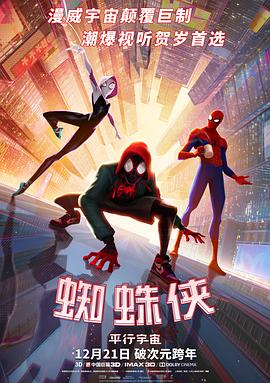 蜘蛛侠：平行宇宙 Spider-Man: Into the Spider-Verse (2018)