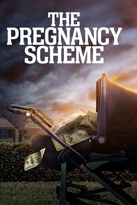 验孕阴谋 The Pregnancy Scheme (2023)