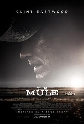 骡子 The Mule (2018)