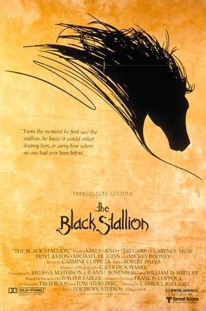 黑神驹 The Black Stallion (1979)