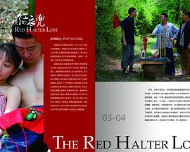 仙人坝的红衣兜  (2011)