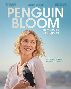 企鹅布鲁姆 Penguin Bloom (2020)