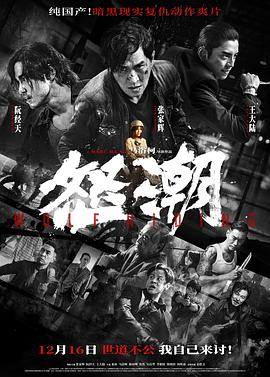 怒潮  (2023)