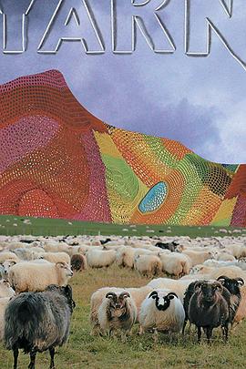 纱 Yarn (2016)