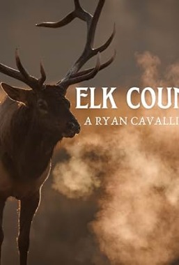 Elk Country  (2025)