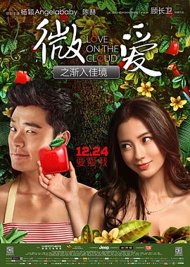 微爱之渐入佳境  (2014)