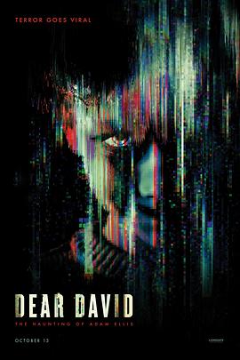 亲爱的大卫 Dear David (2023)