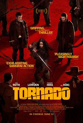 龙卷风 Tornado (2025)