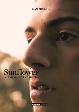 向日葵 Sunflower (2023)