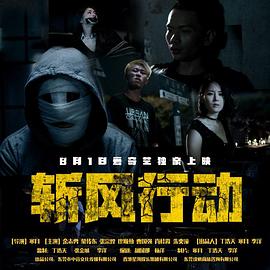 斩风行动  (2019)
