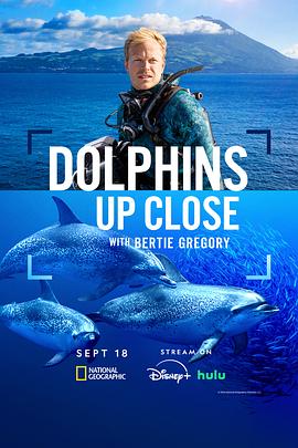 摄影师贝尔蒂与海豚零距离 Dolphins Up Close with Bertie Gregory (2025)