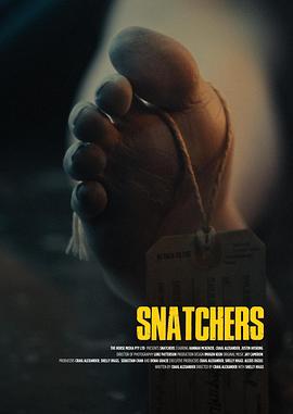 江洋大盗 Snatchers (2025)