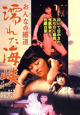 女人的小道：濡湿海峡 おんなの細道 濡れた海峡 (1980)