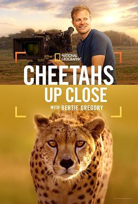 摄影师贝尔蒂与猎豹零距离 Cheetahs Up Close with Bertie Gregory (2026)