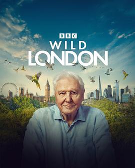 狂野伦敦 Wild London (2026)