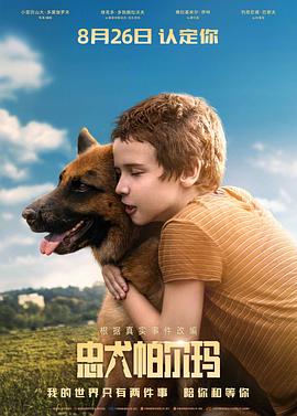 忠犬帕尔玛 Пальма (2021)